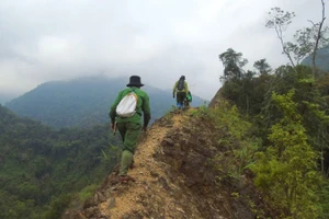 Tuần tra bảo vệ rừng ở Vườn Quốc gia Pù Mát.