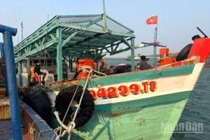 Phương tiện vận chuyển dầu DO trái phép bị Bộ đội Biên phòng Hải Phòng tạm giữ.