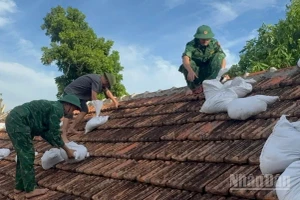 Cán bộ, chiến sĩ Đồn Biên phòng Cát Hải giúp người dân gia cố nhà cửa.