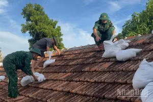 Cán bộ, chiến sĩ Đồn Biên phòng Cát Hải giúp người dân gia cố nhà cửa.