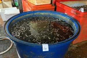 Thùng hóa chất để ngâm thịt ốc. (Ảnh: Công an cung cấp)