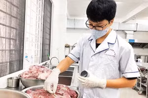 Kiểm tra (test) thực phẩm trước khi chế biến tại bếp ăn trường học. (Ảnh: BÁO NHÂN DÂN)