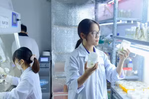 Nghiên cứu tại Trường đại học Khoa học và Công nghệ Hà Nội (USTH). (Ảnh minh họa: TL)