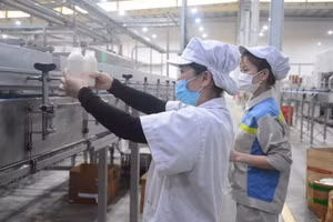 Chương trình được ban hành trên cơ sở cụ thể hóa các chủ trương của Đảng, trong đó có Nghị quyết số 57-NQ/TW và Nghị quyết số 71-NQ/TW. (Ảnh minh họa. Nguồn: TL)