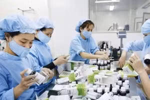 Các cơ sở sản xuất thực phẩm bảo vệ sức khỏe phải áp dụng Thực hành sản xuất tốt (GMP) thực phẩm bảo vệ sức khỏe theo hướng dẫn của Bộ Y tế. (Ảnh minh họa)