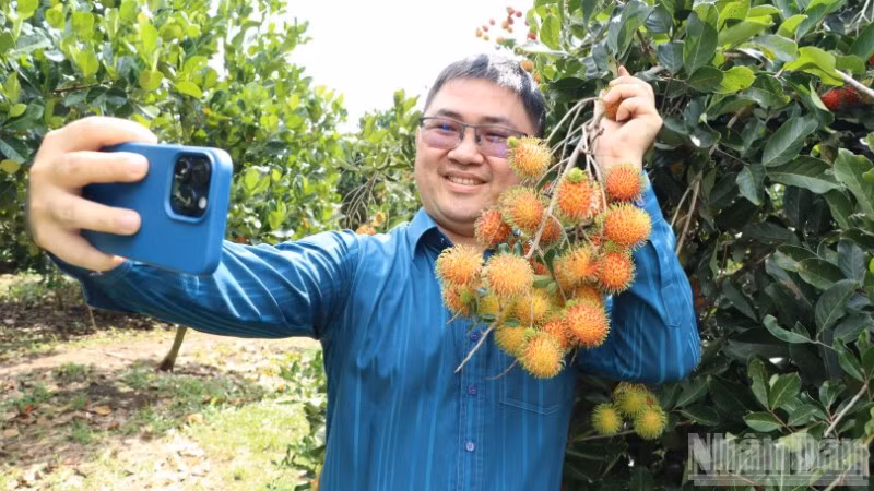 Du khách háo hức trải nghiệm vườn trái cây ở phường Bình Lộc.