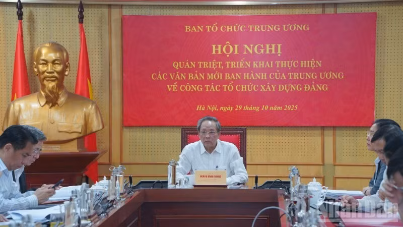 image-1.jpg