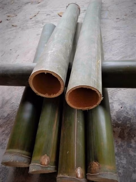 Vinh-vút - nhạc cụ dành riêng cho phụ nữ Hrê. (Ảnh: Báo Dân tộc và phát triển)