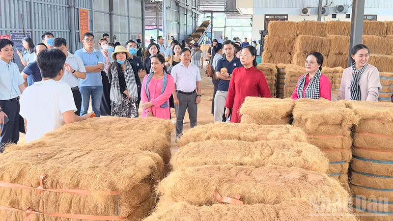 Đoàn khảo sát du lịch đường sông tham quan cơ sở sản xuất chỉ xơ dừa trên sông Thom. 