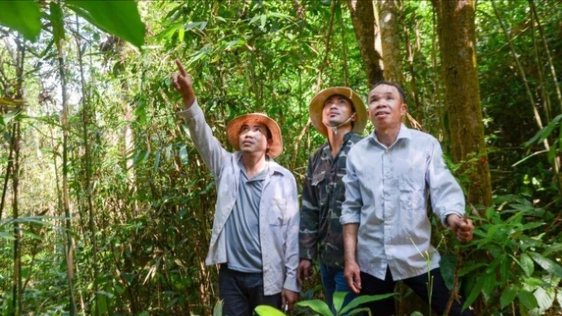 Các chủ rừng tại tỉnh Điện Biên thực hiện tuần tra, bảo vệ rừng trên diện tích được chi trả dịch vụ môi trường rừng.