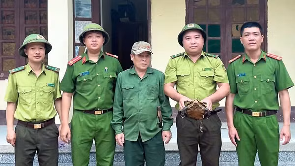 Kiểm lâm cùng Công an tiếp nhận cá thể rùa do công dân giao nộp.
