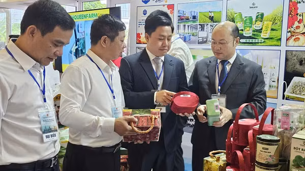 Lãnh đạo tỉnh Thanh Hóa tham quan các sản phẩm OCOP.