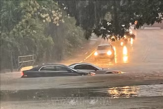 Cảnh ngập lụt sau những trận mưa lớn tại Dallas, Texas, Mỹ. (Ảnh tư liệu - minh họa: TTXVN)