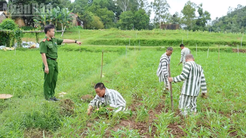 Phạm nhân tại Trại tạm giam Công an tỉnh Lạng Sơn trong giờ lao động.