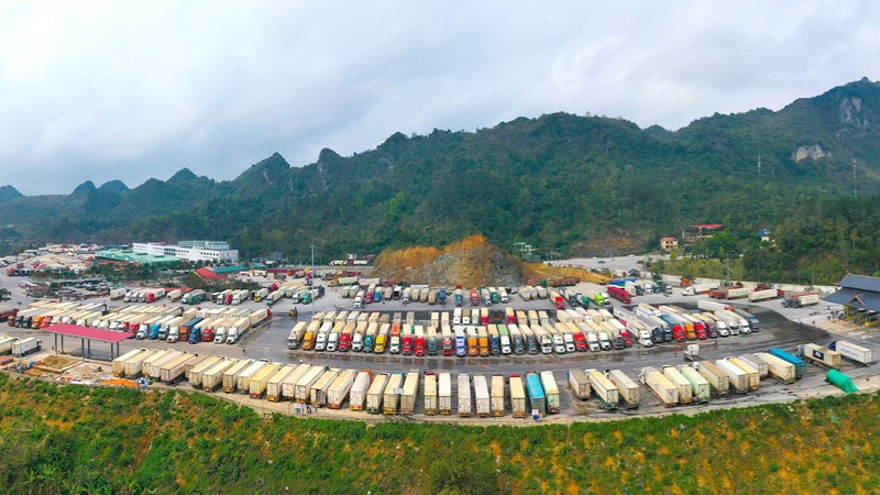 Các phương tiện xuất, nhập khẩu tập trung tại khu vực Cửa khẩu quốc tế Hữu Nghị, tỉnh Lạng Sơn.