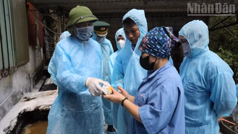 Thứ trưởng Nông nghiệp và Môi trường kiểm tra và phát vaccine chống dịch tả lợn châu Phi cho chủ cơ sở chăn nuôi tại xã Mẫu Sơn, tỉnh Lạng Sơn.