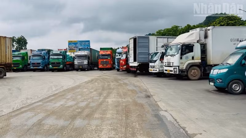 Các phương tiện tại khu vực bãi Xuân Cương, Cửa khẩu Quốc tế Hữu Nghị, tỉnh Lạng Sơn. 