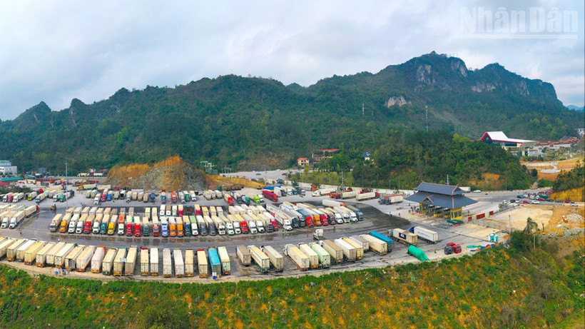 Khu vực kho bến bãi của Công ty Cổ phần Hữu nghị Xuân Cương.