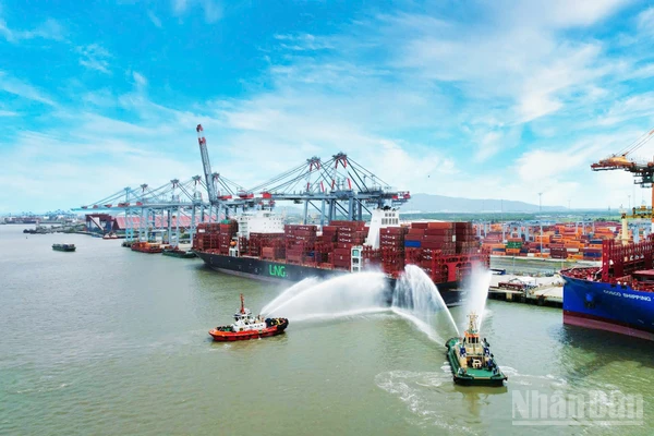 Cái Mép-Thị Vải là cụm cảng nước sâu lớn nhất và hiện đại nhất cả nước, giữ vai trò chiến lược trong hệ thống logistics quốc gia.