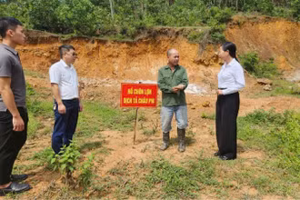 Cán bộ ngành nông nghiệp tuyên truyền, hướng dẫn người dân phường Bình Khê tiêu huỷ lợn dịch đúng quy định.