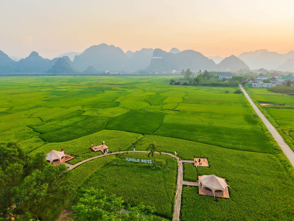 Mùa vàng ở Phong Nha thường bắt đầu từ cuối tháng 4 đến hết tháng 6. dji-20250424174714-0066-d.jpg
