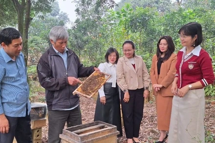 Cán bộ và các thành viên Hợp tác xã nuôi ong Liên Sơn ở thôn Đồng Sơn, phường Lý Thường Kiệt, tỉnh Ninh Bình trao đổi kinh nghiệm nuôi ong mật.