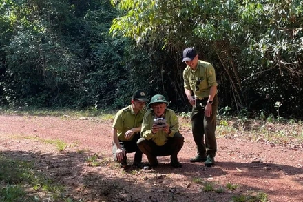 Nhân viên kiểm lâm Khu Bảo tồn-Thiên nhiên-Văn hóa Đồng Nai tuần tra rừng.