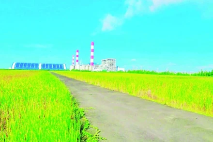 Bãi chứa tro xỉ của Công ty Nhiệt điện Duyên Hải được thiết kế đồng bộ, có lớp chống thấm, chống bụi, phun nước định kỳ và phủ xanh.