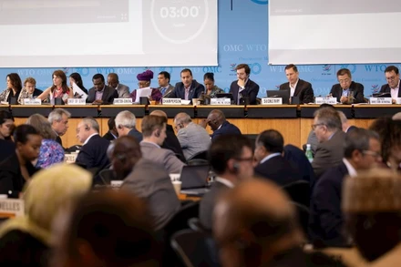Toàn cảnh cuộc họp Đại hội đồng WTO. (Ảnh: WTO)