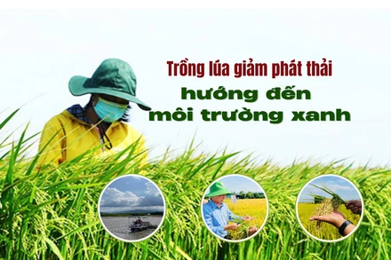 Trồng lúa giảm phát thải, hướng đến môi trường xanh
