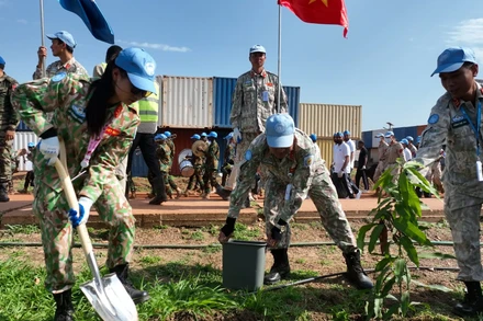 Đội Công binh số 3 của Việt Nam trồng cây xanh trong khuôn viên doanh trại.