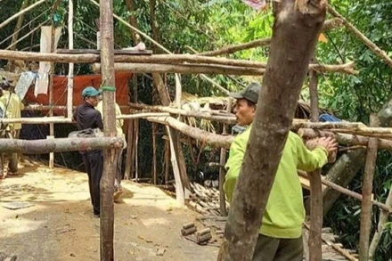 Lực lượng chức năng tháo dỡ lán trại của “vàng tặc” dựng trái phép giữa rừng phòng hộ. (Ảnh: cơ quan chức năng cung cấp)