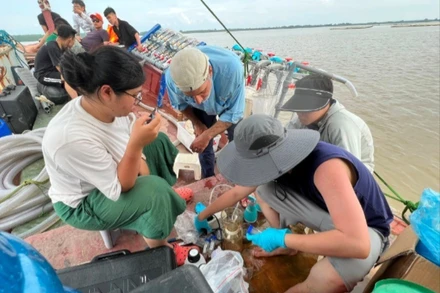 Các nhà nghiên cứu thu thập mẫu để phân tích, đánh giá tác động của rác thải nhựa với môi trường và sức khỏe con người. (Ảnh: THÚY HƯỜNG)