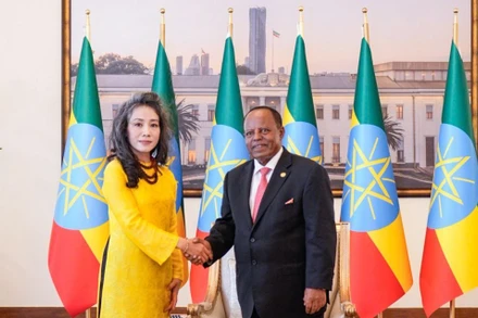 Đại sứ Vũ Thanh Huyền trình Quốc thư lên Tổng thống Ethiopia Taye Atske Selassie.
