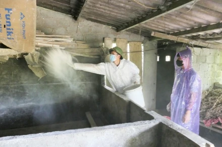 Cán bộ Trạm Chăn nuôi, thú y và Thủy sản khu vực 7 tiêu độc, khử trùng chuồng trại chăn nuôi tại xã Quản Bạ.
