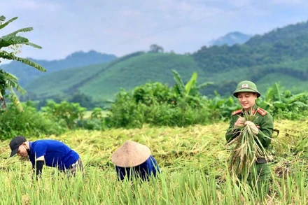 Sự nỗ lực của chính quyền địa phương và các lực lượng trong toàn xã, trong đó có lực lượng công an đã góp phần mang lại cuộc sống bình yên cho người dân xã Tiền Phong - một xã biên giới của tỉnh Nghệ An.