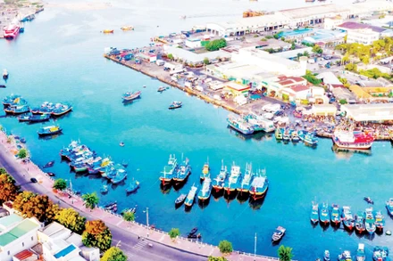 Phía đông nam Lâm Đồng giữ vai trò đầu mối kết nối ra biển, với lợi thế về năng lượng tái tạo và logistics.