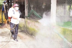 Thực hiện tháng cao điểm vệ sinh tiêu độc, khử trùng môi trường chăn nuôi.