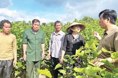 Cán bộ xã, hội đoàn thể xã Bờ Y trao đổi kinh nghiệm trồng cây nông nghiệp.