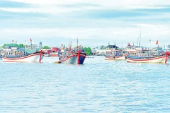 Nhiều tàu cá cập cảng cùng thời điểm nên công tác khai báo và bốc dỡ hàng hóa bị chậm trễ.