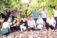 Các hộ nông dân và đại diện các hợp tác xã tham quan học tập mô hình canh tác ca-cao bền vững gắn liền với tăng trưởng xanh và giảm phát thải trên địa bàn xã Ea Knốp, tỉnh Đắk Lắk.