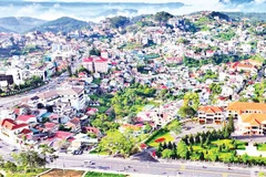 Cơ sở dữ liệu đất đai tại Lâm Đồng hoàn thiện bảo đảm các tiêu chí “đúng, đủ, sạch, sống, thống nhất, dùng chung”.