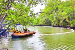 Nhân viên Trung tâm Ứng phó sự cố môi trường Việt Nam xử lý dầu loang vào rừng ngập mặn Cần Giờ.