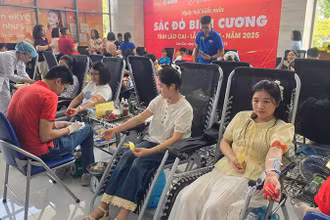 Các tình nguyện viên tham gia hiến máu.