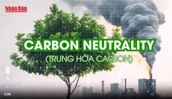 [Video] Khái niệm Trung hòa Carbon và Net Zero: Sự khác biệt và mối liên hệ