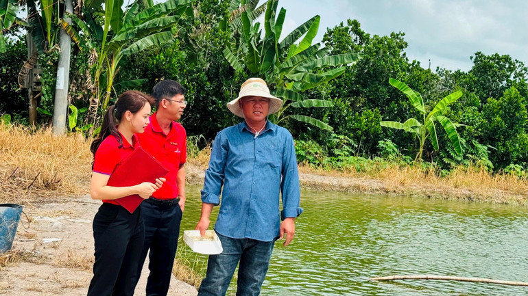 Anh Huỳnh Tấn Đạt, ấp 2T, xã Bình Hàng Trung, tỉnh Đồng Tháp (đầu tiên bên phải) có thu nhập ổn định nhờ vay vốn nuôi cá tra giống. (Ảnh HỮU NGHĨA) ae822b7fbcb537eb6ea4-8967.jpg