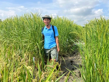 ThS Lê Thanh Phong, Phó Viện trưởng Biến đổi khí hậu, Trường đại học An Giang (Đại học Quốc gia Thành phố Hồ Chí Minh).