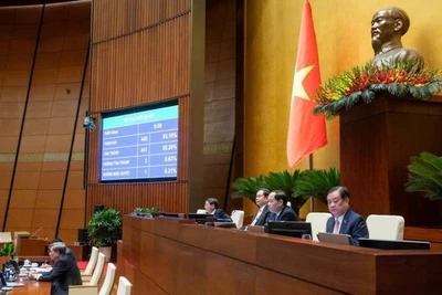 Quốc hội biểu quyết thông qua dự án Luật Công nghiệp công nghệ số ngày 14/6.