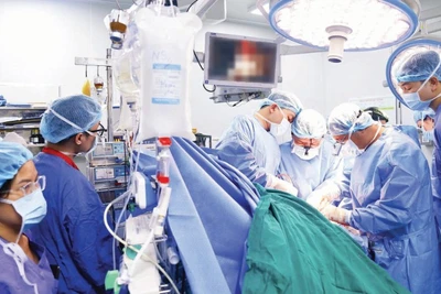 Các bác sĩ Bệnh viện Hữu nghị Việt Đức thực hiện ca ghép tạng.