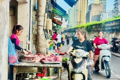 Bán lẻ đường phố (chợ truyền thống) tại Việt Nam. (Ảnh: HNV/Báo Nhân Dân)